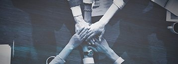 our values for stud farm Bangalore